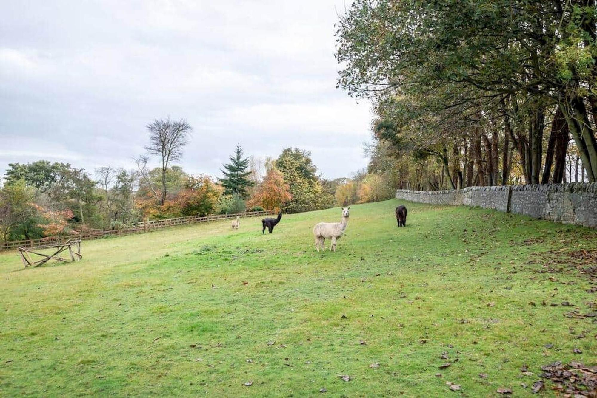 Park View Cottages - The Granary Boarhills Exteriör bild